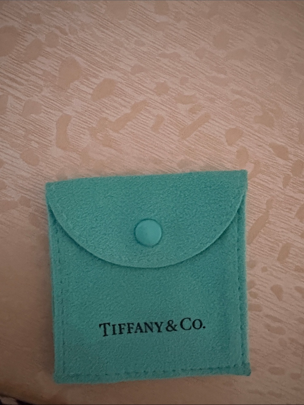 Tiffany & Co. Small Teal Snap Pouch